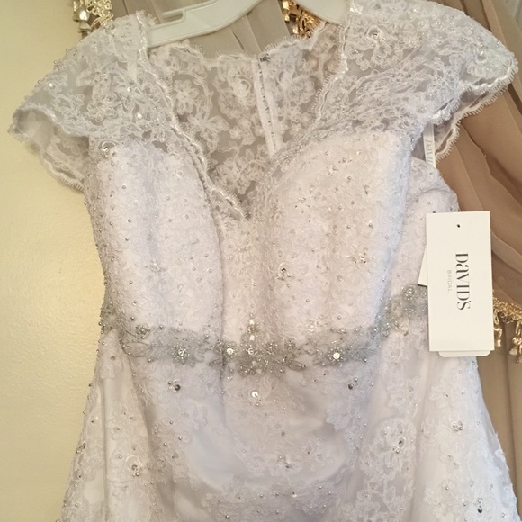 Wedding Gown, Tiara, And veil.. the whole package - Picture 5 of 8